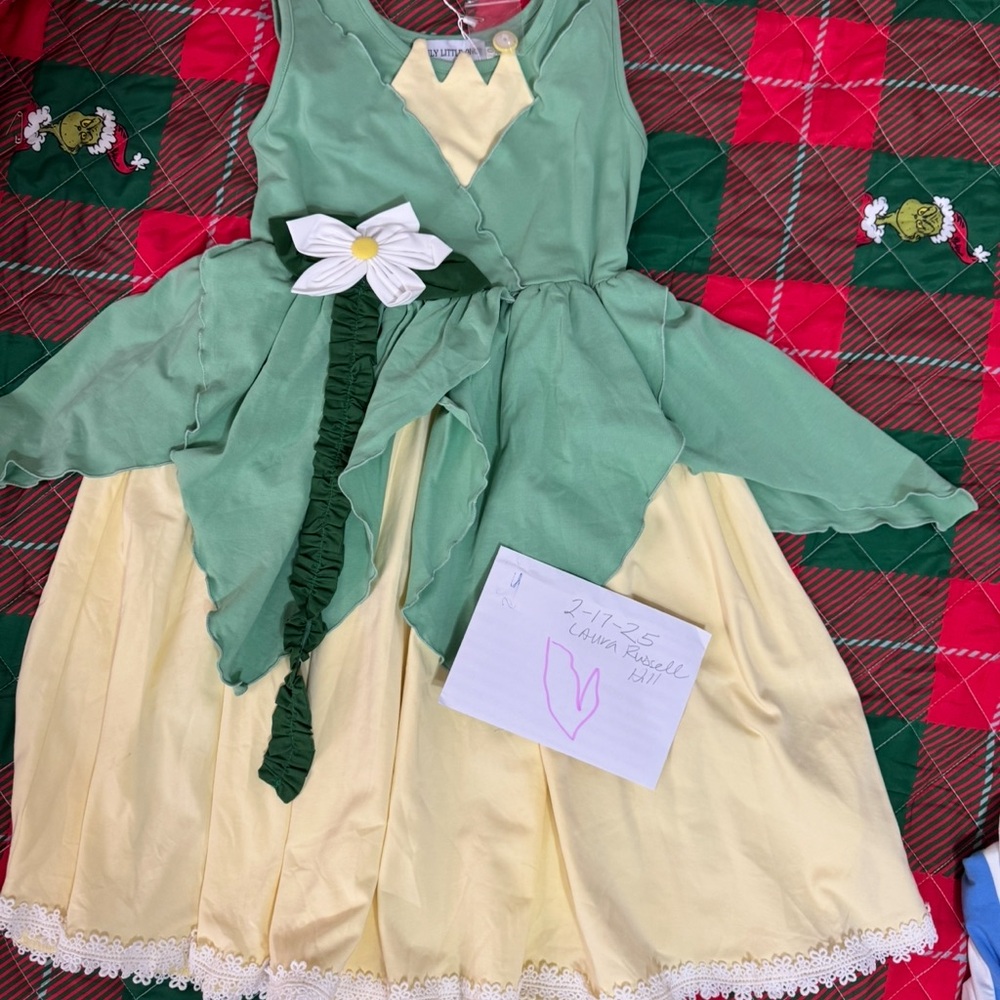 Princess Tiana dress size 10